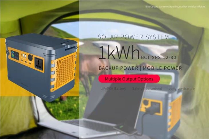 Blue Carbon New Product 1kwh All in One Solar Home System LiFePO4 Lithium Battery Solar Power Generator For Outdoor Camping Private Mould