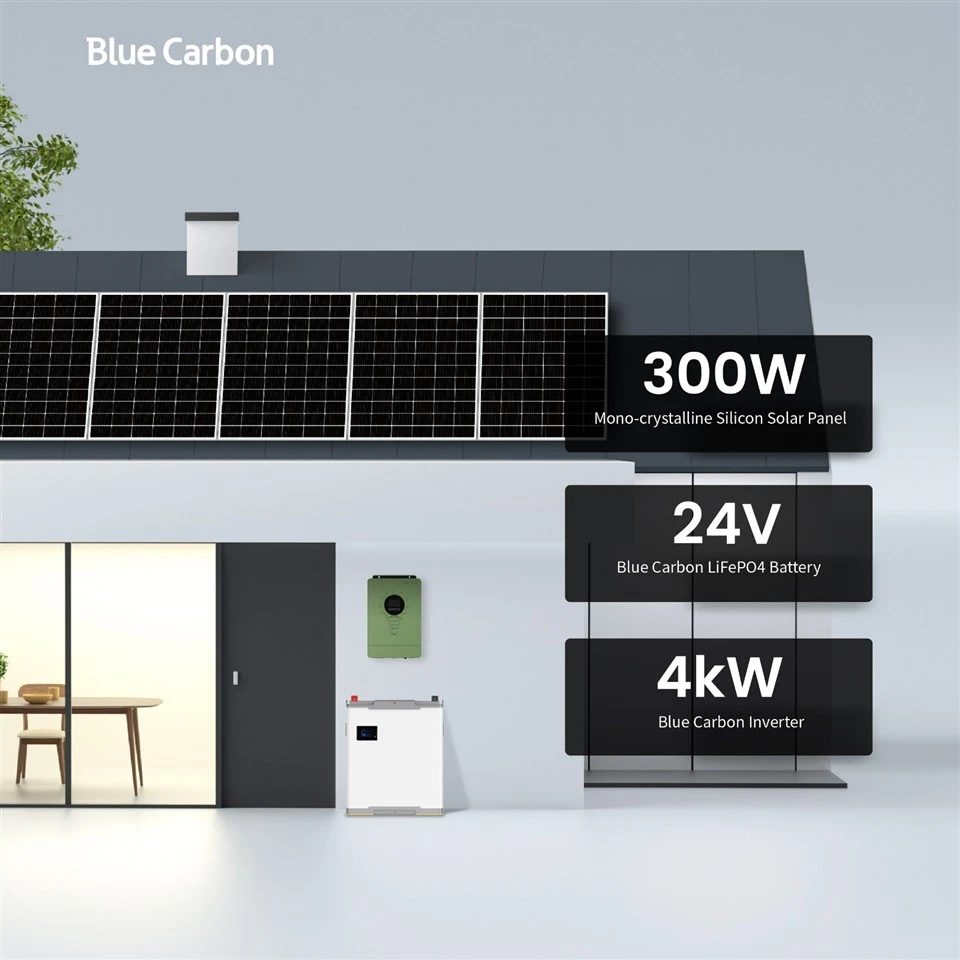 Bluec Carbon 4kW Inverter Box