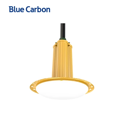 24W Sab Hauv Tsev Teeb pom kev zoo LED dai hnub ci Chandelier